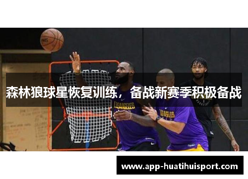 森林狼球星恢复训练，备战新赛季积极备战